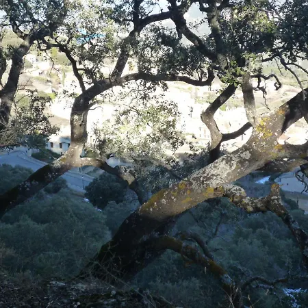 Casa vacanze El Molino De Alocén